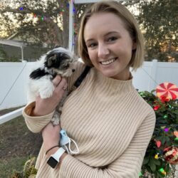 Rocky/Scout's new mom Savannah  parti Morkie