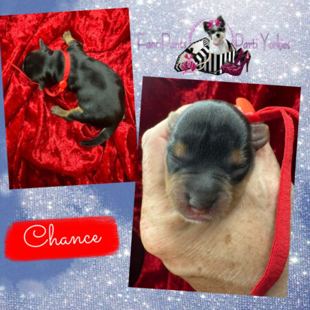 chance